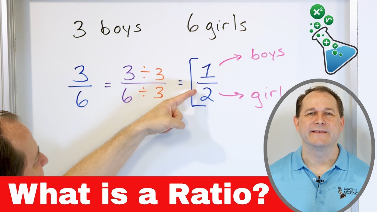 Understanding Ratios & Proportions in Math 📊