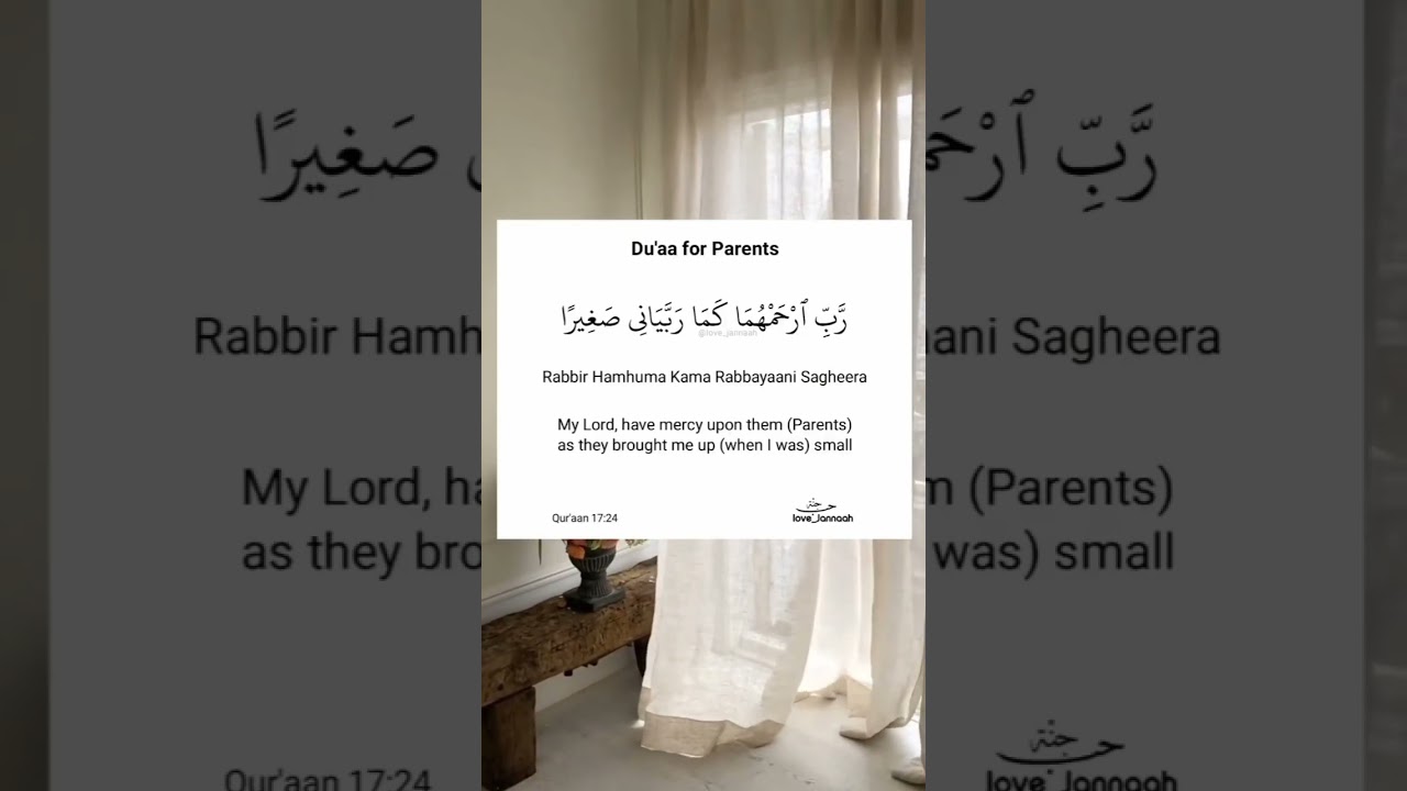 Islamic Videos & Teachings on YouTube ✨