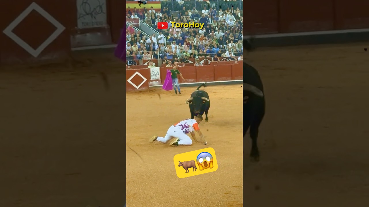 Recortes TOROS 2025 en Salamanca 🐂