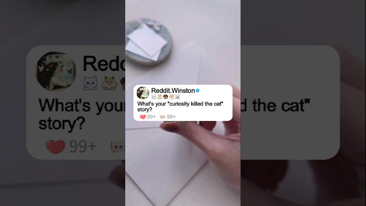 Your 'Curiosity Killed the Cat' Story 🐱