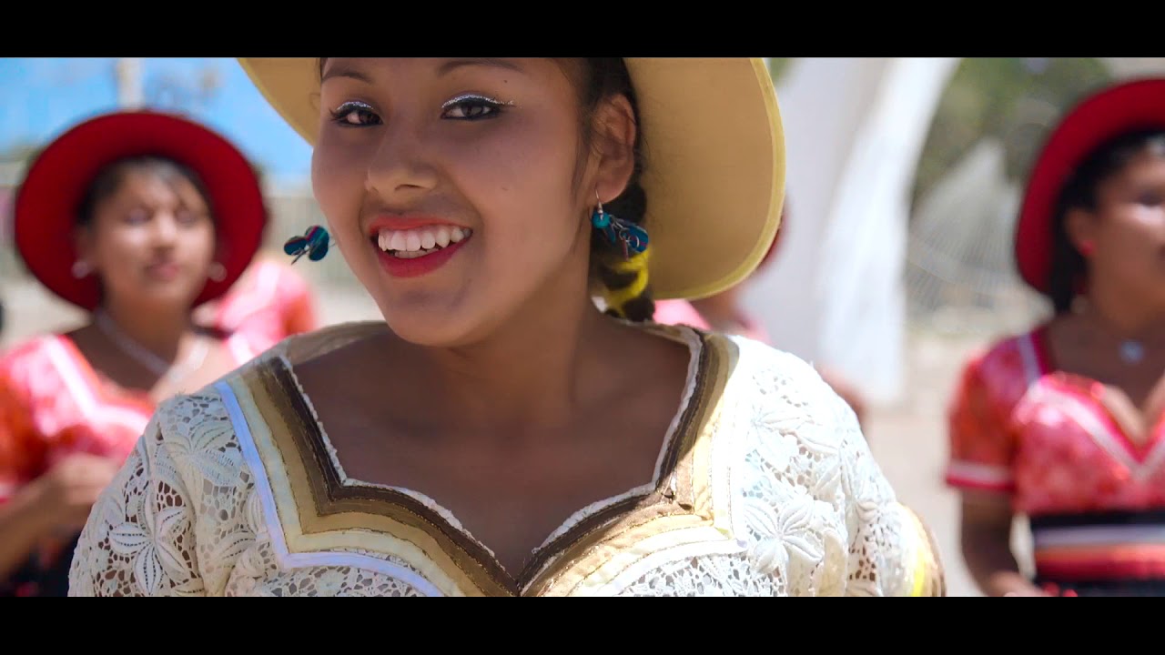 Delfines del Amor - Salay Amor 2019 🎶