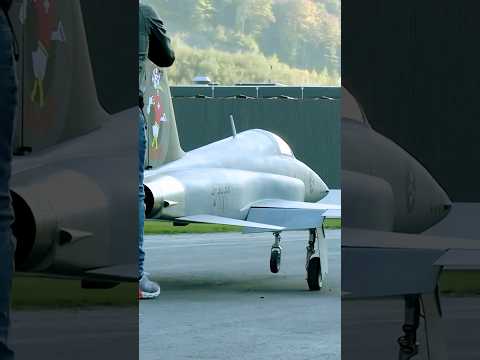 This Insanely Large F-5 RC Jet Costs as Much as a Car!