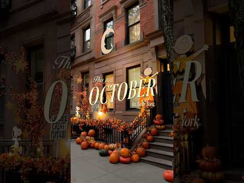 is this REALLY what New York City looks like in October?! 🎃🍂