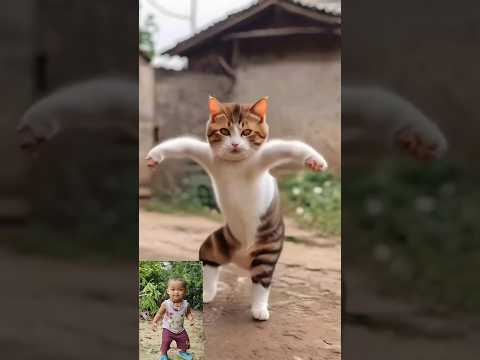 Cat Dance Funny Video 🤣🤣🤣 #shorts #viral #trending #youtubeshorts #catdance ||Cute cat dance