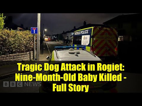Tragic Dog Attack in Rogiet: Nine-Month-Old Baby Killed - Full Story