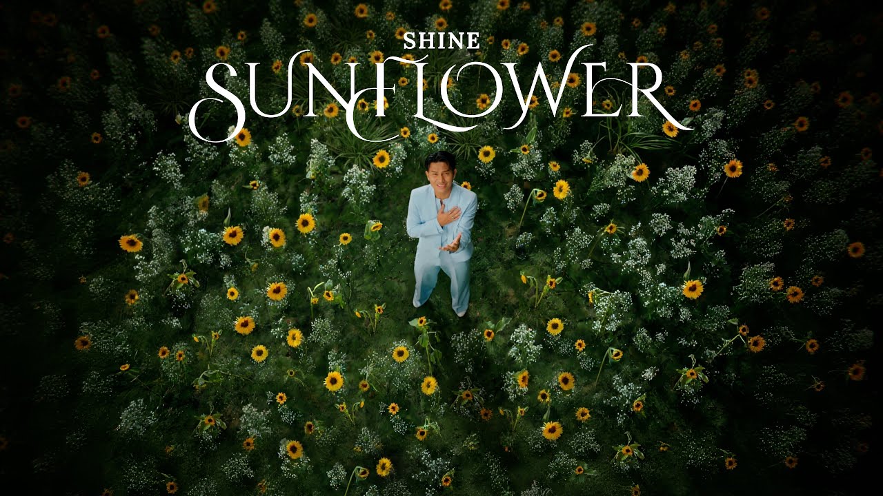 SHINE - Sunflower Official Music Video 🌻