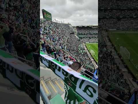 La entrada del Real Betis⚪🟢 vs Mallorca (04.11.2023) #realbetis #footballstadium #football #sevilla