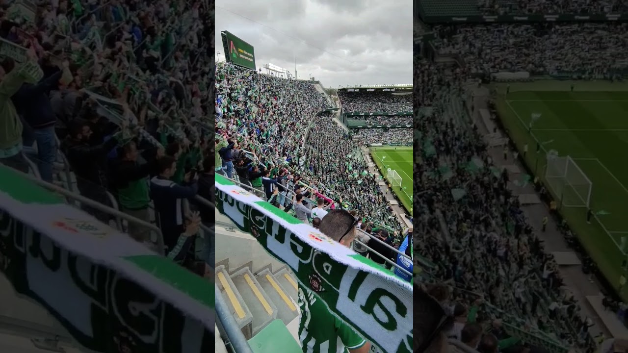 ¡Partido emocionante! Betis ⚪🟢 recibe a Mallorca el 4 de noviembre de 2023 en Sevilla