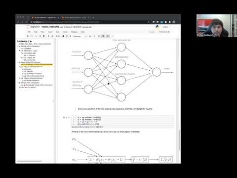Neural Networks Intro: Perceptron Model - [2020-08-04]