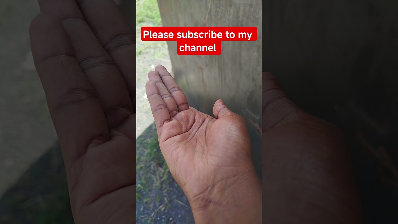 Must-Watch Funny Moments 😂