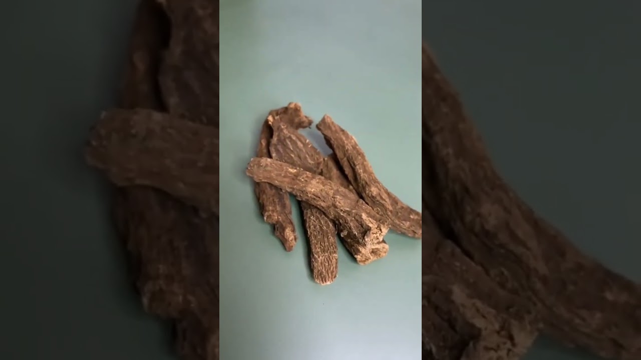 اكتشف فوائد القسط الهندي (القسط البحري) الصحية والعلاجية 🌿