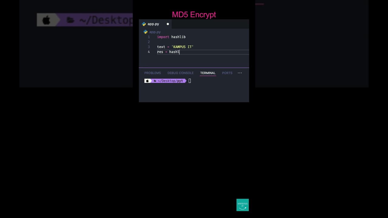 MD5 Python MD5 Hash Generator π