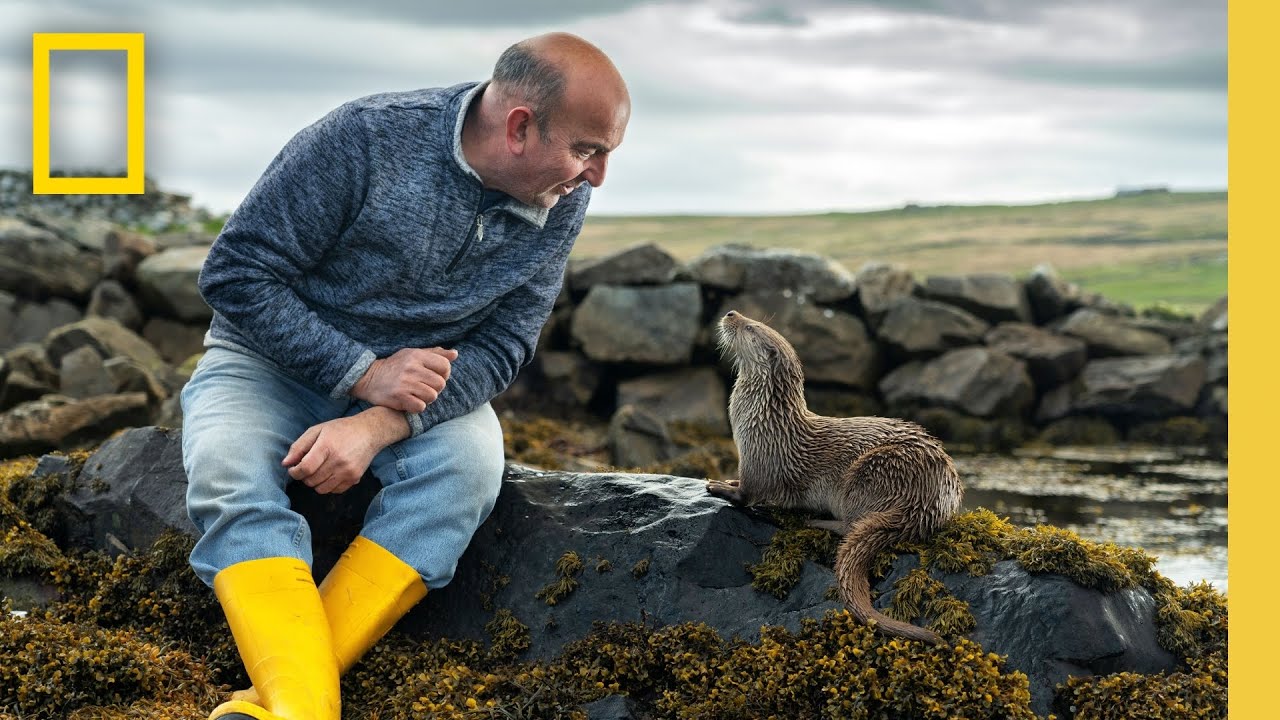 Billy & Molly: Heartwarming Otter Love Story in the Scottish Islands 🦦