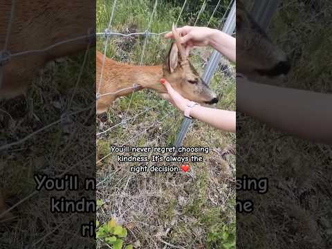 A world touched by kindness becomes a masterpiece of love ❤️ #inspiration #rescue