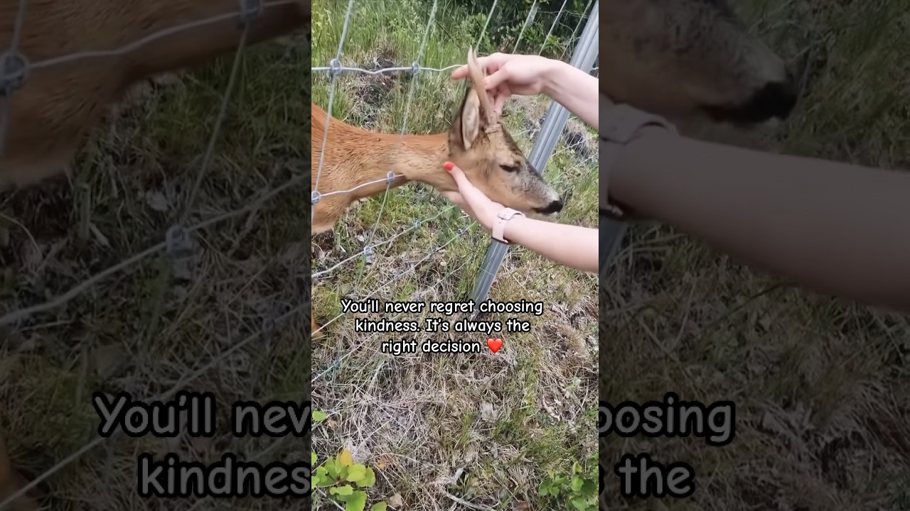 A Kind World Becomes a Love Masterpiece ❤️