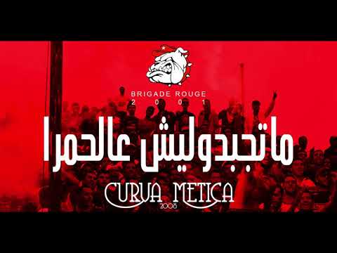 أقوى أغاني النجم الساحلي لتعزيز الروح المعنوية 🎶