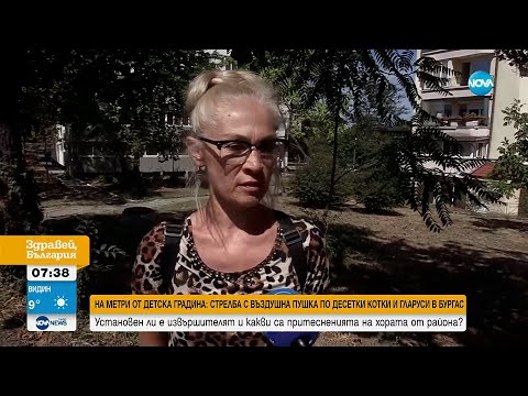 Неизвестен е прострелял десетки котки и гларуси в Бургас - Здравей, България (29.08.2025)
