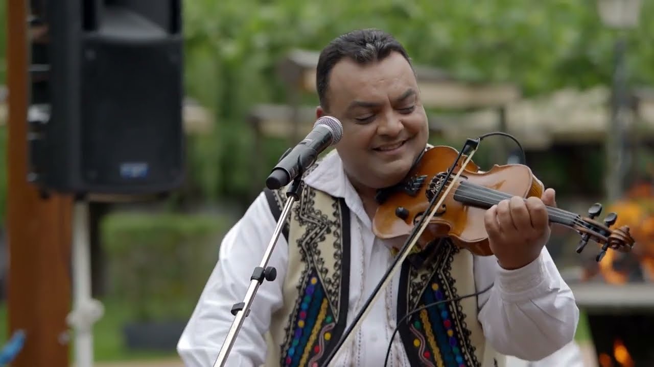 Constantin Lataretu - Foaie Verde, Spic de Pâine 🎶