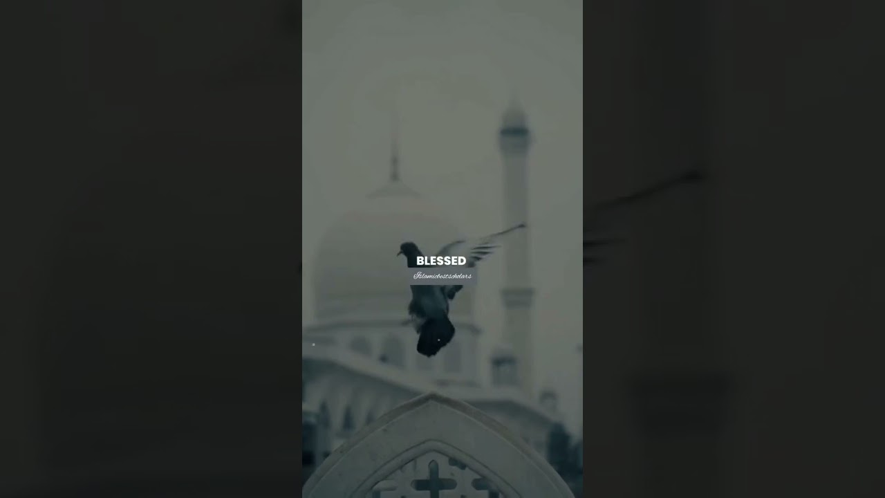 🌹beautiful Islamic status🌹|Islamic status |Islamic status for whatsapp🌻|sad Islamic status| #shorts