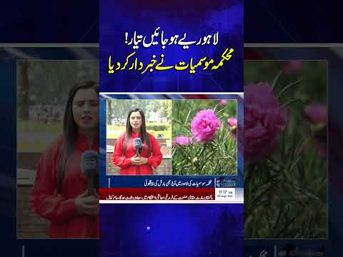 Heavy Rain Expected in Lahore Within Few Hours | Weather Alert | Samaa TV