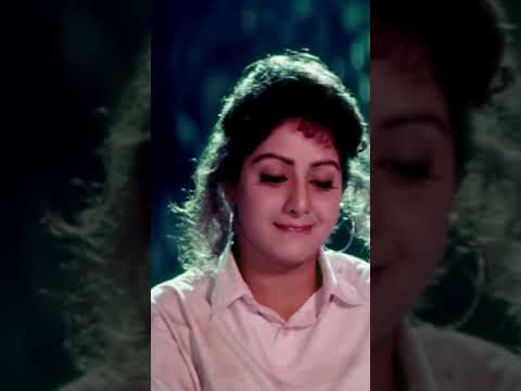 Kshana Kshanam Telugu Movie | Jaamu Rathiri Video Song | Venkatesh | Sridevi | SPB | Chitra