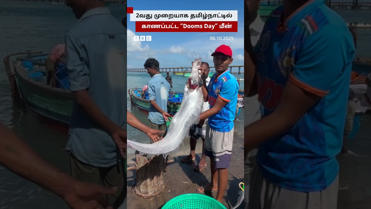 பாம்பன் பகுதியில் பிடிபட்ட அசாதாரண டூம்ஸ் டே மீன் 🐟