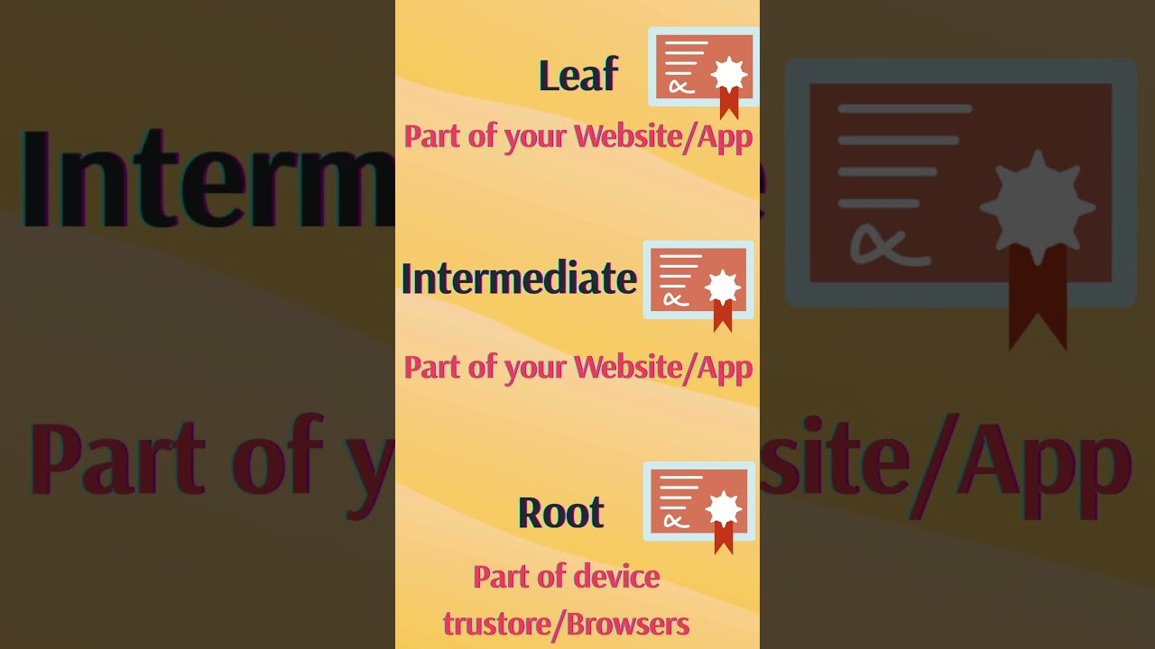 Understanding the Certificate Chain of Trust in TLS 🔒