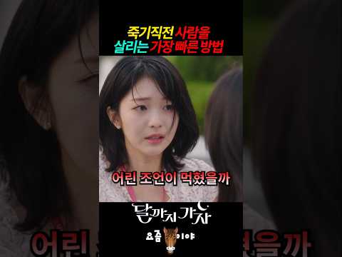 죽기직전 사람을 살리는 가장 빠른방법 #달까지가자 #MBC #이선빈 #라미란 #조아람 #김영대 #참교육 #C9whF