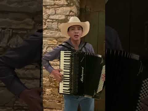 Numa Sala De Reboco #acordeon #sanfona #forró