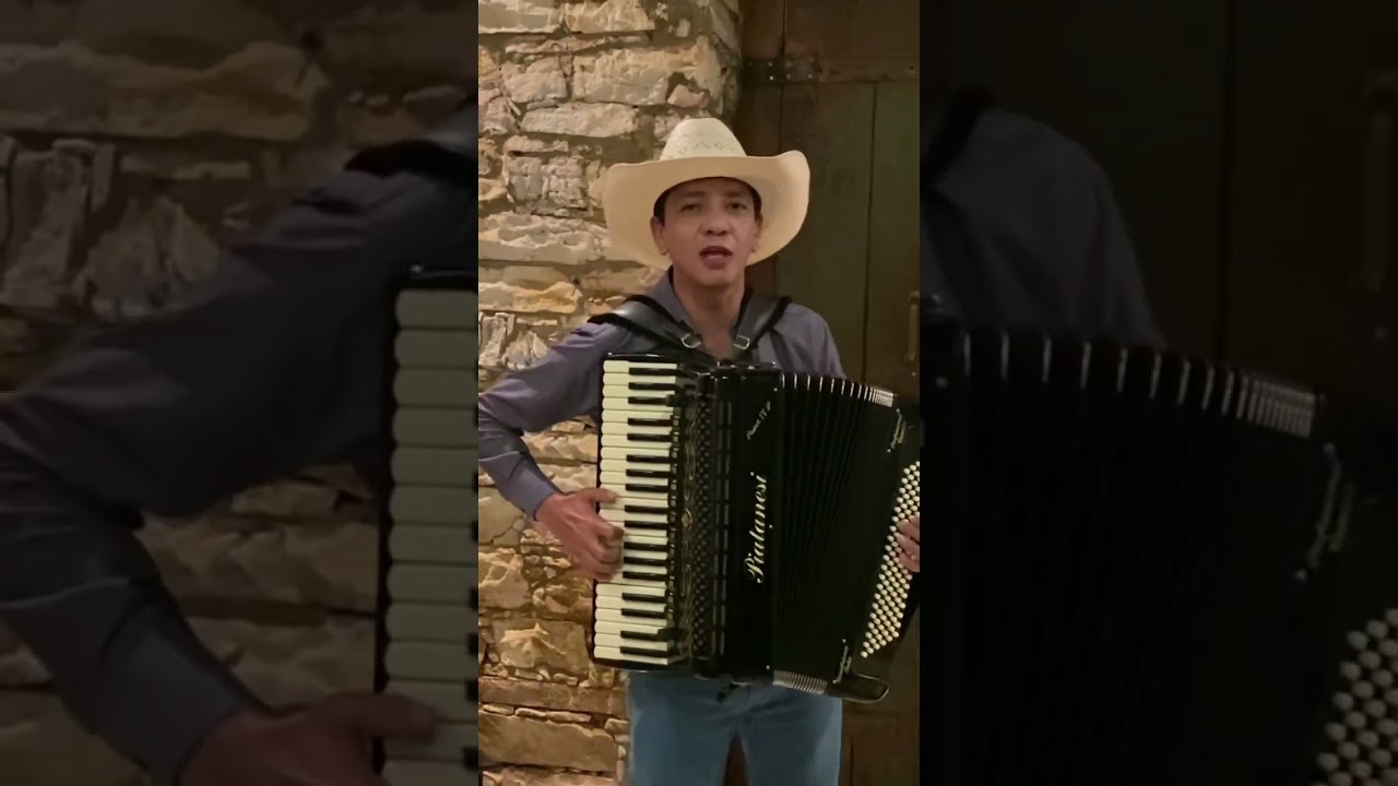 Numa Sala de Reboco 🎶: Forró com Acordeon e Sanfona