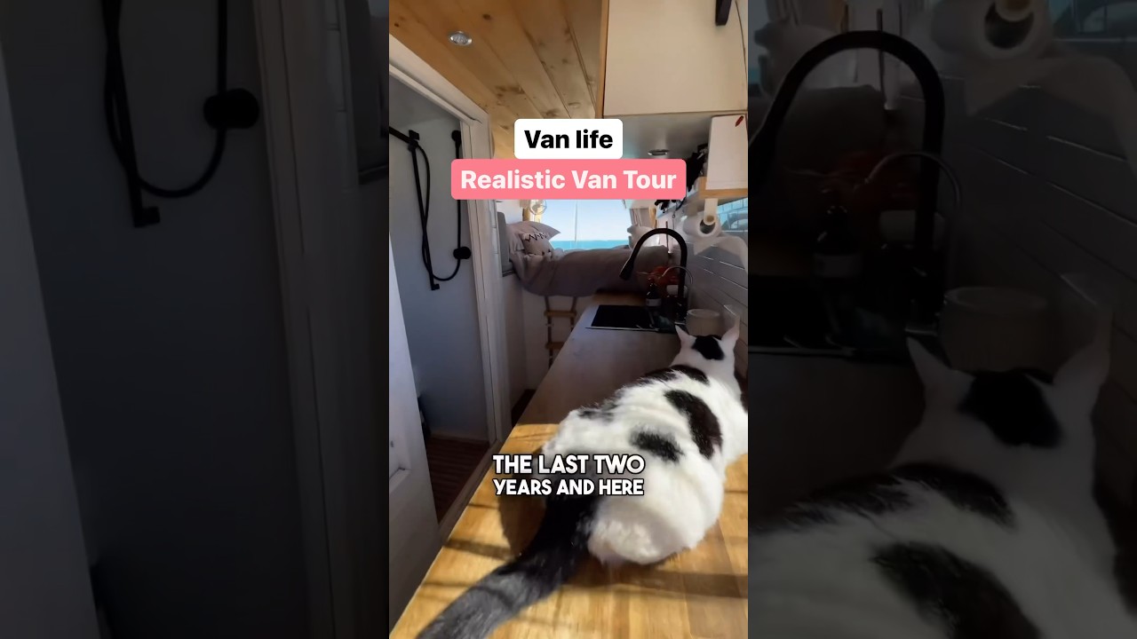 VAN TOUR: Our Realistic Van Life 🚐