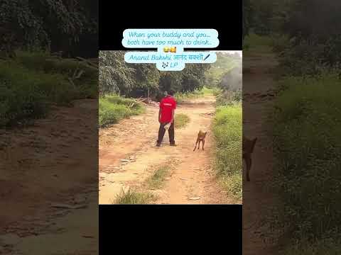 Chal mere bhai - Anand Bakshi आनंद बक्शी🖌 🎶 LP