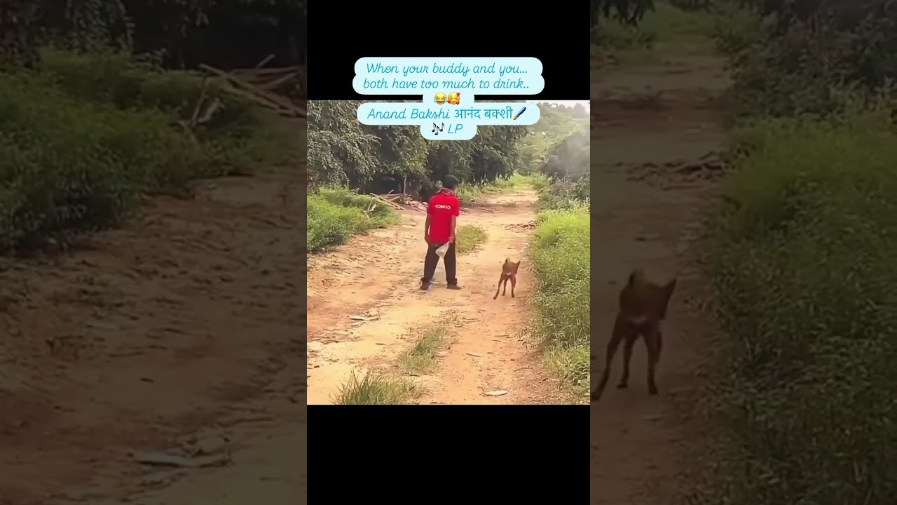 Chal Mere Bhai - Anand Bakshi 🎶 | Classic Songs & Filmmakers' Insights