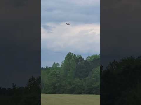 THIS IS THE BEST RC JET OF 2023-E-flite F-16 80mm #rc #edf #aeroplane