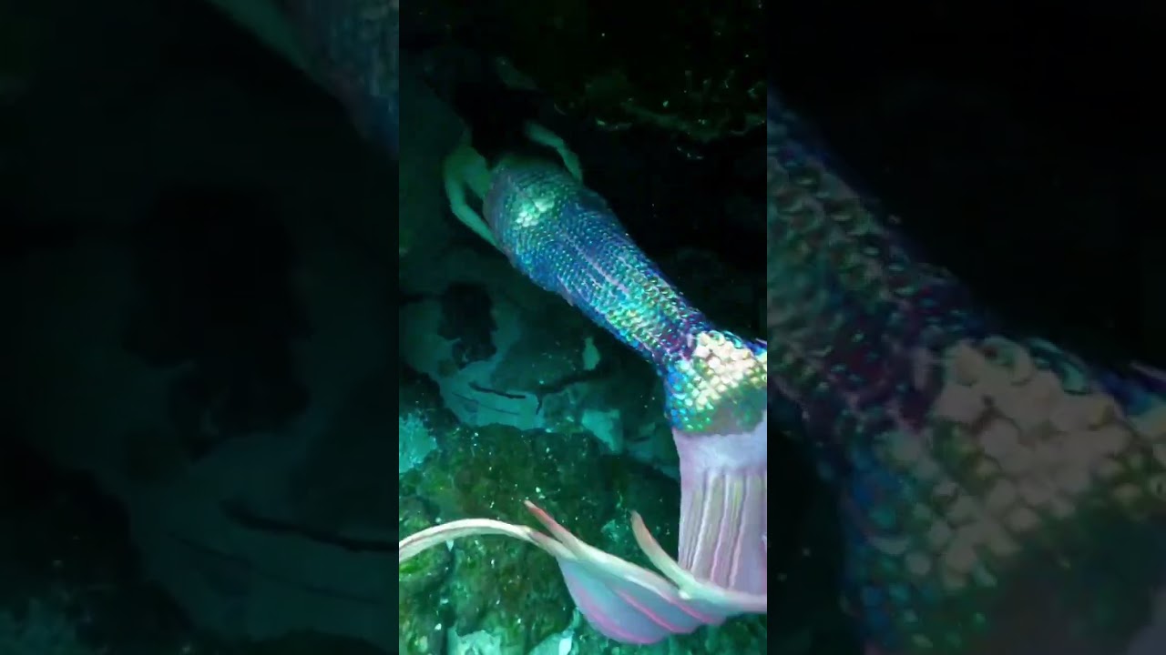 Mermaid Jules Explores Stunning Underwater Cave 🌊