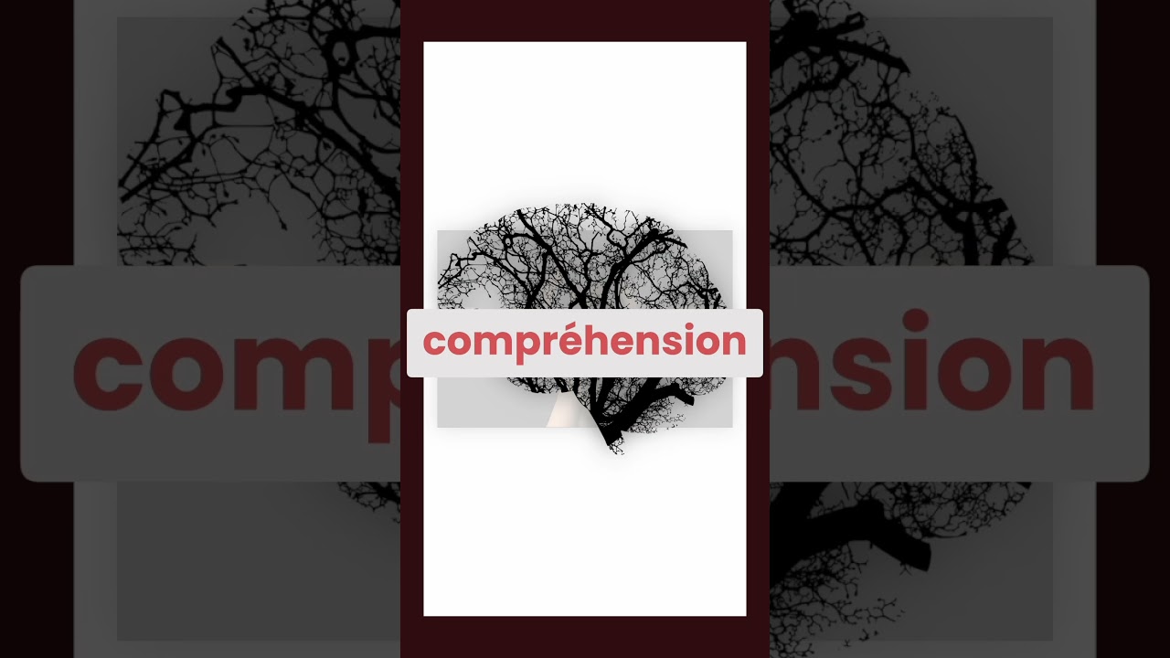 Métacognition : Maîtriser ses pensées 🧠