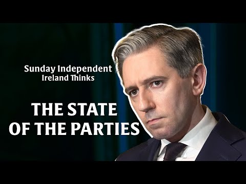 Sunday Independent/ Ireland Thinks poll: The state of the parties