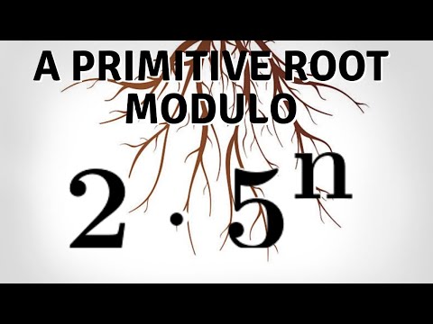 Number Theory | A primitive root for 2*5^n