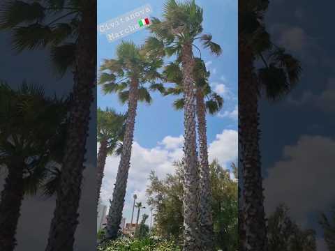 Civitanova Marche🇮🇹