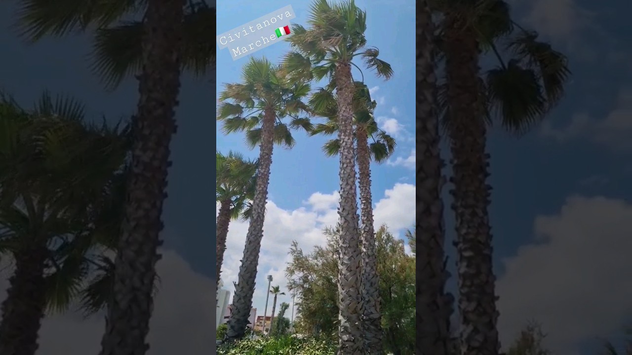 Discover the Charm of Civitanova Marche 🇮🇹 – Your Perfect Italian Getaway