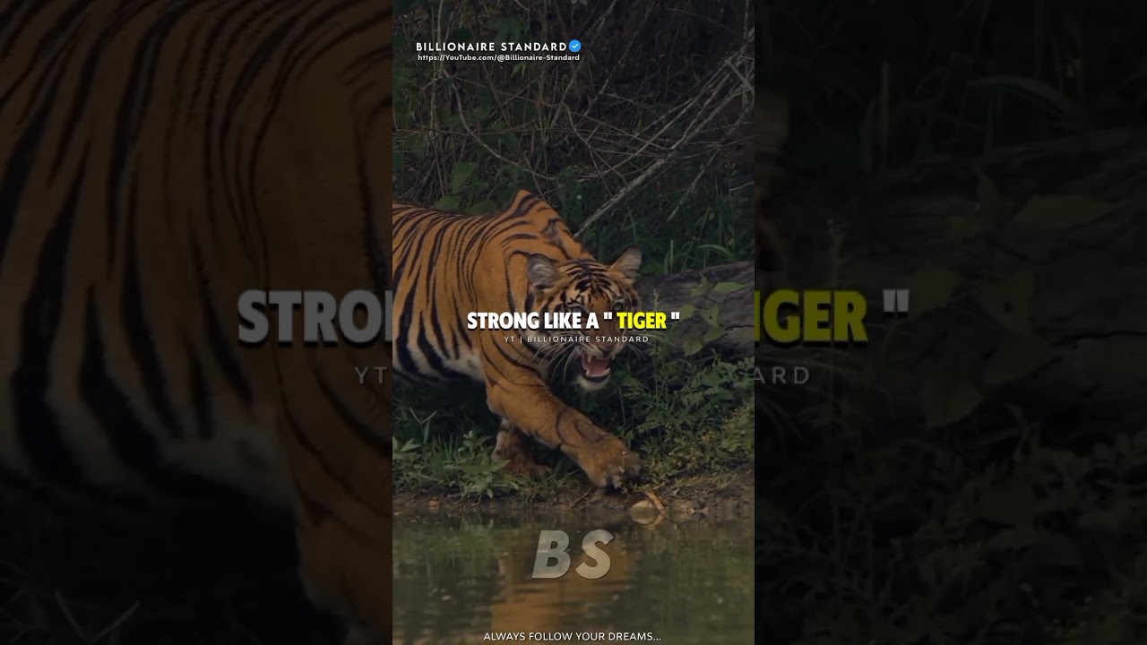SIGMA RULES π|Fearless like a LION!πͺ | #shorts motivation #shortsfeed inspirational quotes #viral