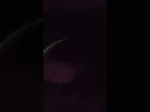 gasy dongain ya pipah nya semoga pipah bahagia lagi