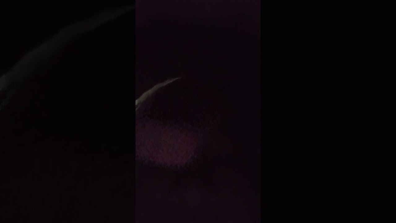 Harapan dan Doa untuk Kebahagiaan Pipah 😊