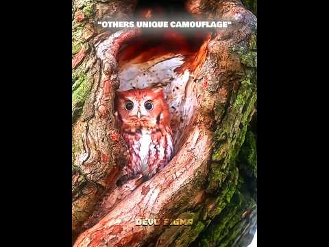 The Last Unique Camouflage 🤯💀