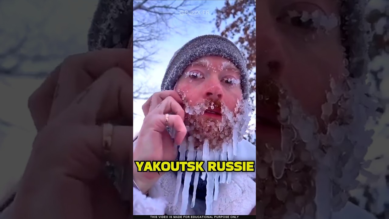 TOP 5 Top 5 des vagues de froid qui ont gelé la planète ❄️