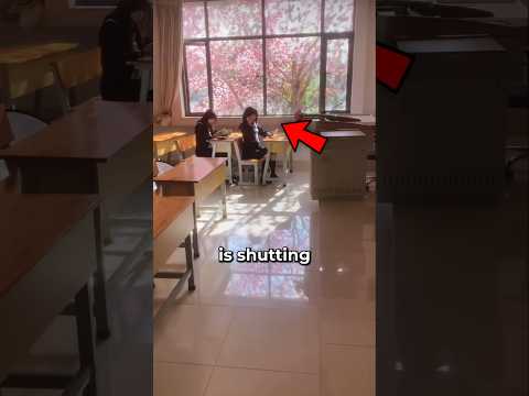 Korean schools are closing! 🇰🇷🏫 #korea #japan