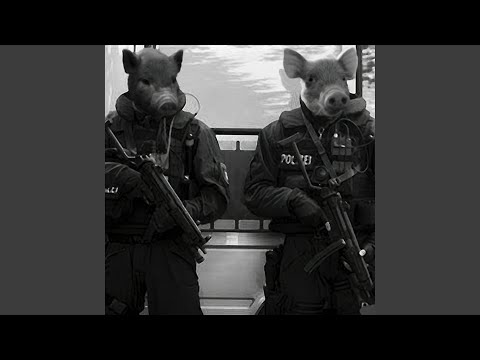 Base de Rap - Underground Boombap - Hip Hop Instrumental