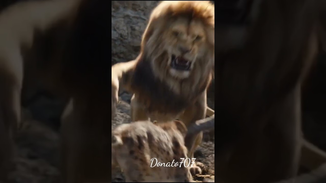 Discover the Legacy of Hazrat Abbas Ibne Ali ✨🥀 | Status & Inspirational Quotes