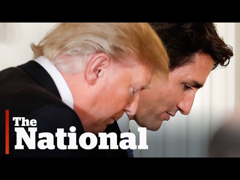 Trump & Trudeau Meeting Highlights 🤝