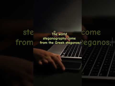 Meaning Of Steganography